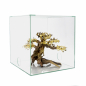 Preview: Bonsai-Tree